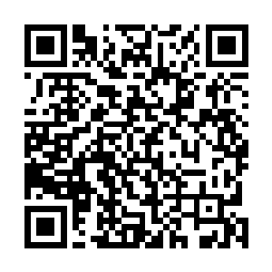 你姥姥说她的学生国内著名的收藏家赵忠南一会儿也会到二维码生成