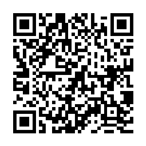 你害怕是因为你现在已经明白这世上充满很多无奈和无能为力二维码生成