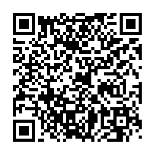 你就尽情地展现自己的武技吧……我会将其当成余兴节目去欣赏的二维码生成