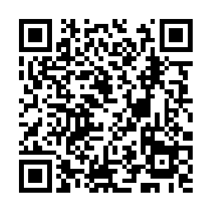 你就是那个害得我们在世俗界产业连连受损的杨辰二维码生成