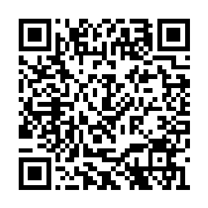 你已经把灵犬门的规矩和暗语都研究的差不多了二维码生成