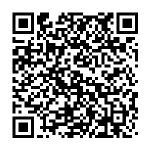 你很快就不会感受到恐惧了……我会温柔地吸食掉你全身的血液的……二维码生成