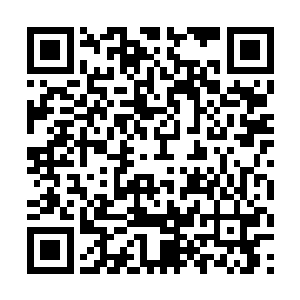 你必须在没有任何武器和外来支援的情况下独自存活二维码生成