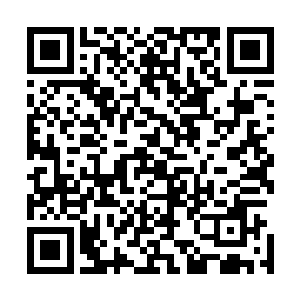 你总不会是以前就知道这里的地下就是你们千机门的地方吧二维码生成