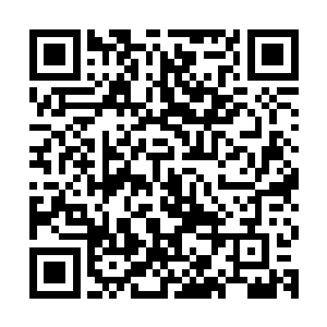 你想利用这些巫族小辈体内的巫族精血来平复你体内沸腾的气血二维码生成
