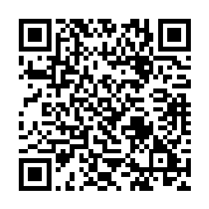 你愿意把自己以固定姿势钉在座位上暂时忘了爆米花二维码生成