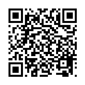 你指望你的保护伞为你争取一条活路二维码生成