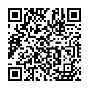 你敢不敢用你的速度好好鄙视一下后面追杀你的龟儿子二维码生成