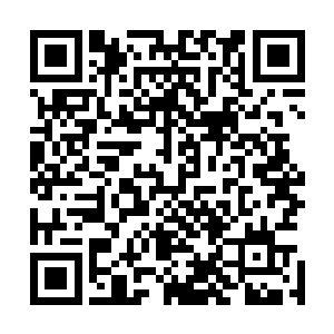 你敢说你难道刚开始不就是抱着让我为你大哥开脱的目的么二维码生成