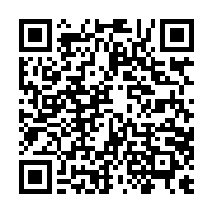 你无论是赠送还是赌斗都必须去物资处领取申请表二维码生成