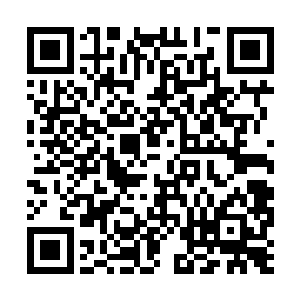 你既是用摄魂的手段也得不到什么有价值的信息的二维码生成