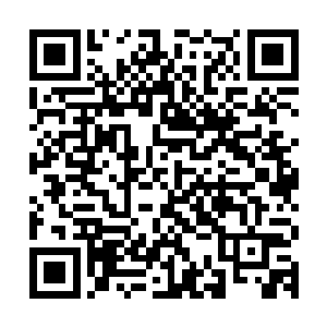 你时根本没考虑你受伤的精神体是否能承受他那么庞大的精神力二维码生成