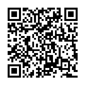 你明知道我对美少女那种可怜巴巴的眼神根本没有任何的抵挡力二维码生成