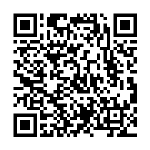 你是不是认为暗影一天二十四小时都在大街上站着等你抓他二维码生成