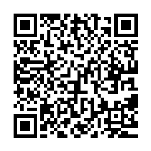 你是不是还想着坐在赤妖的后背上在荒域里飞行更威风凛凛的二维码生成