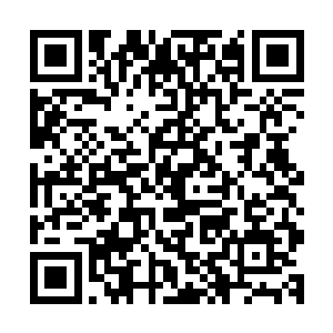 你是代表团的团长你将代表公主殿下和外界进行沟通――瑞安二维码生成