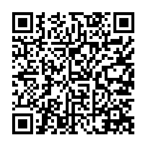你是我中了你的暗算你还有其他的帮手在这外边布置好了陷阱早就等我出去了二维码生成