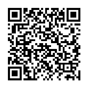 你是打算现在就买车票回凌海市还是在我们这小镇逛逛二维码生成