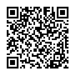 你是真要我把你这些龌龊肮脏的事儿告诉汪伯伯和小波哥二维码生成