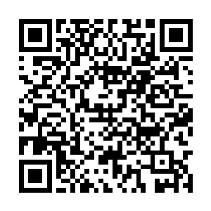 你是说……你可以造出如同天使和魔鬼一样的生命二维码生成