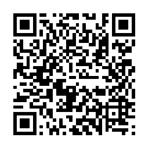 你是说……飞山和巫象很可能是故意让巫城落到这种境地二维码生成