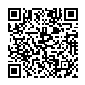 你是说九风从那两族人手里抢走了他们眼看就要得到的宝贝二维码生成