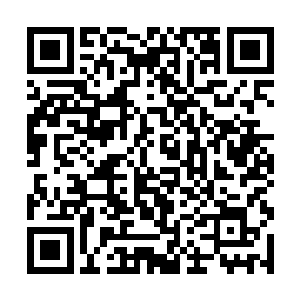 你是说你现在的成就完全都是靠那枚尊品丹药达到的二维码生成