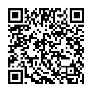 你最近不是也通过某种非法渠道捞到了几十万美金吗二维码生成