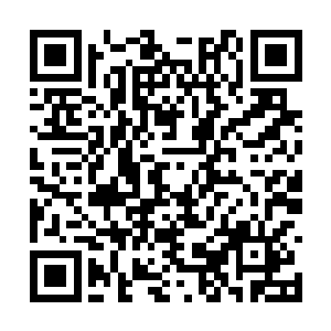 你有见过法官在宣读了判决书之后准备退堂的时候二维码生成