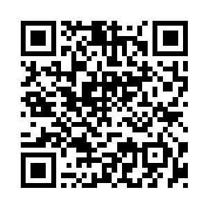 你服用了一枚增加了一万点法则之力二维码生成