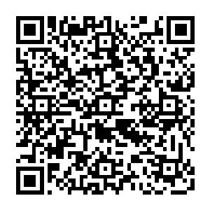 你来呀……你到是抓给我看看啊……本小姐的胸就连大色狼想抓我都没让他抓过呢二维码生成
