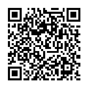 你没有把江首长要来的消息告诉你们市的杨文天书记二维码生成