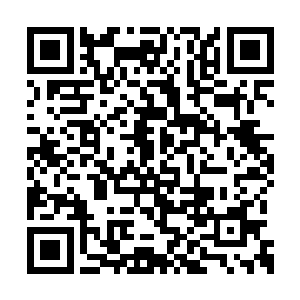 你派几个人去将现场修理一下将那些痕迹给弄掉二维码生成