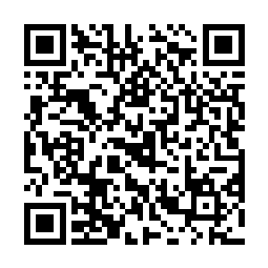 你父亲还没死……你父亲还没死……你父亲还没死……二维码生成
