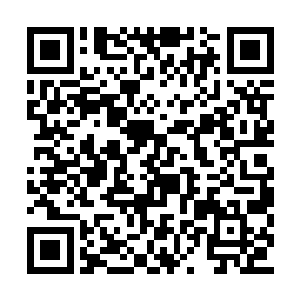 你爸他们就准备对此事不再理会偏偏你受不得激二维码生成