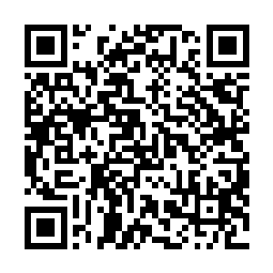 你现在下去问问云姐是不是刚刚又感觉腰上被人踢了一脚二维码生成