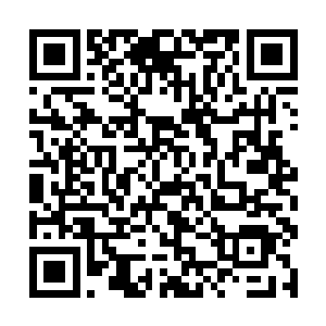 你现在也不会落到如今这种妻族完全借不到力的地步二维码生成