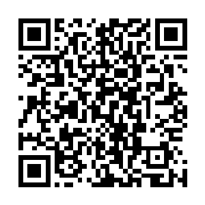 你现在把我给你做的那些衣服全部放在你在外面的水晶床上二维码生成