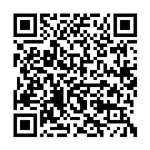 你的传承跟我修罗神国并非出自同一脉……不过二维码生成