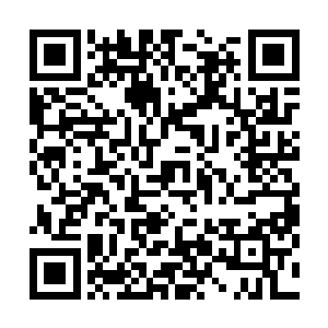 你的号码老娘懒得记――我给她发信息说老娘在1819房间等你二维码生成