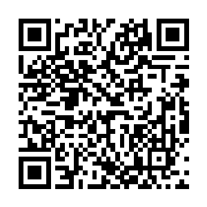 你的天分也让人赞叹……甚至让我感受到了严重的危机二维码生成