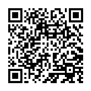 你的实力应该会跌到至尊灵兽层次……你先启动这个阵盘二维码生成