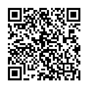 你的意思是你可以肯定这一次调查的问题绝对不属实二维码生成