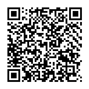 你的意思是说欠薪最少的张锋主动带领你们以跳楼的方式向包工头讨薪二维码生成