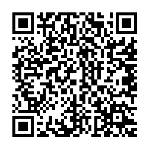 你的意见就是我的意见――我就等着你把金像奖带到我的卧室里了二维码生成