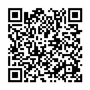 你的父亲也不会因此而逼着你去修炼什么寒冰掌了二维码生成
