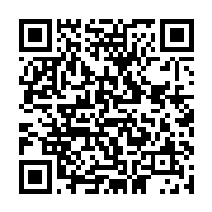 你的爷爷就是因为使用诅咒武器和污染兽作战太久了二维码生成