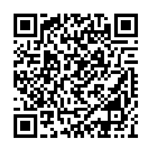 你的酬劳我们会在第一时间打到你指定的账户上二维码生成