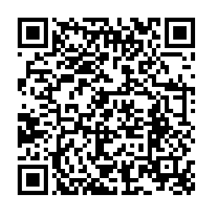 你看到没……李小花那表情特逗……就像看到一碗香喷喷的红烧肉二维码生成