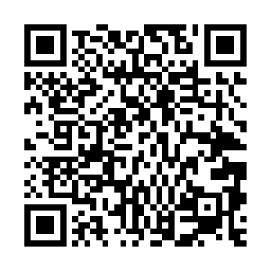 你看看我们老板最近皱眉头的次数和显著增加的白头发就知道了二维码生成